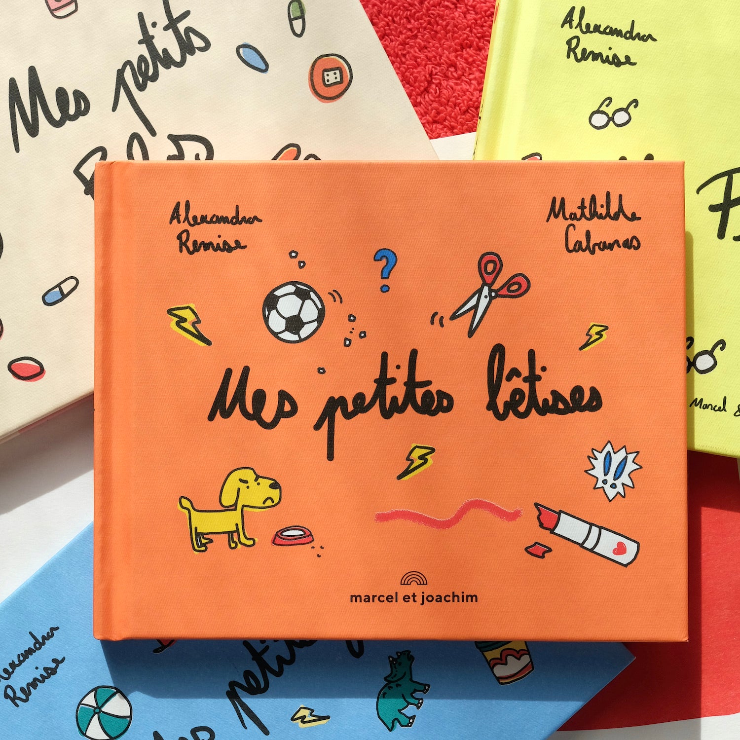 Livre Mes Petites Bêtises