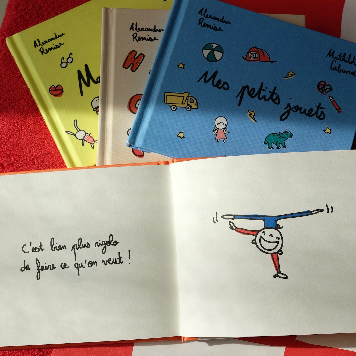 Livre Mes Petites Bêtises