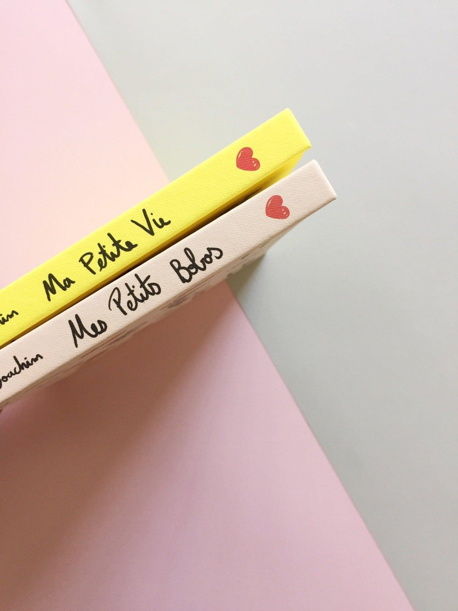Livre Ma petite vie